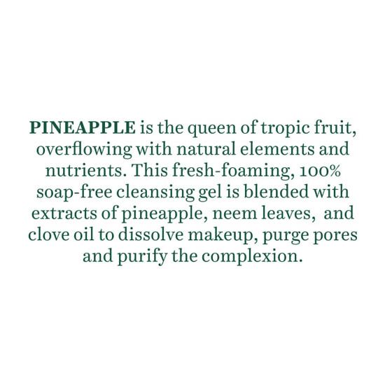 Pineapple oil control foaming face cleanser 120ml